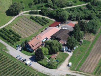 照片: Rüttehof